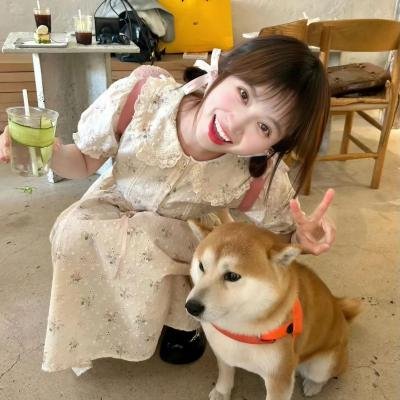 小真:彩虹救援任务